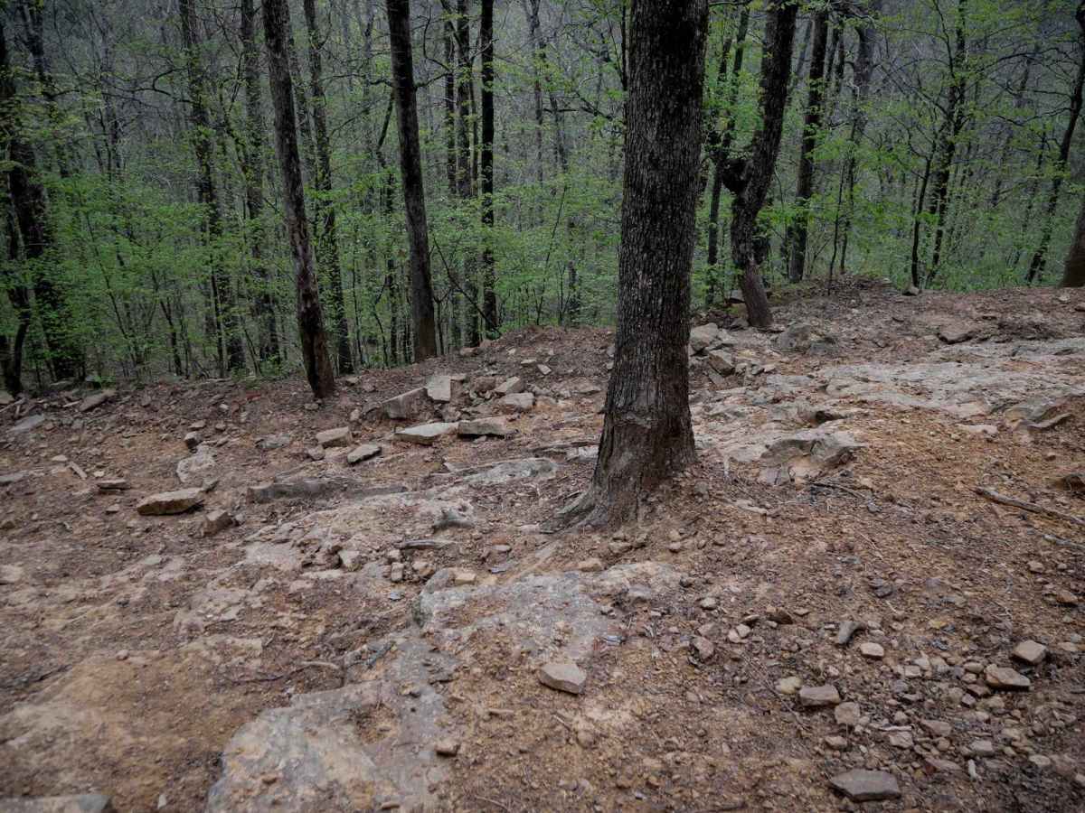 Gap Hollow Loop photo 2