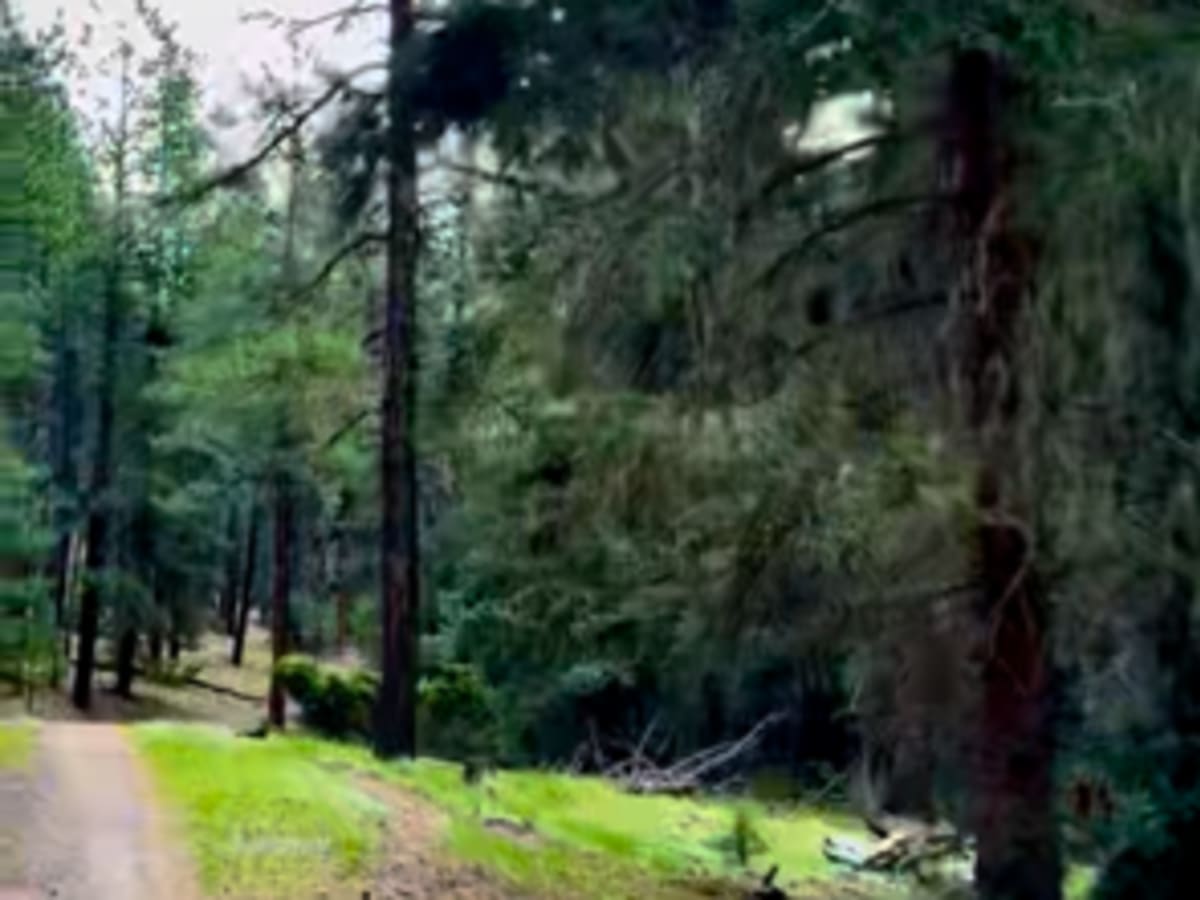 Rocky Road photo 6