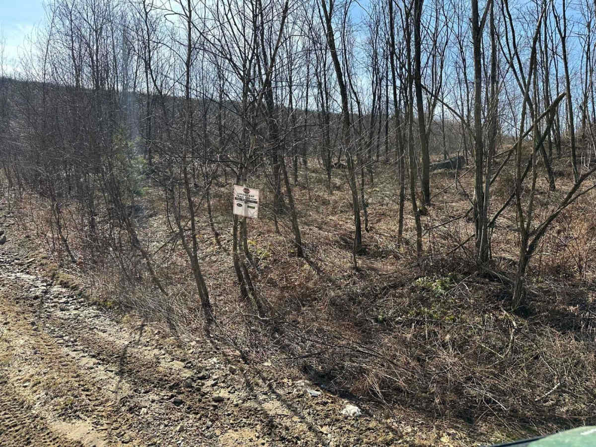 Locust Gap 39 trail photo