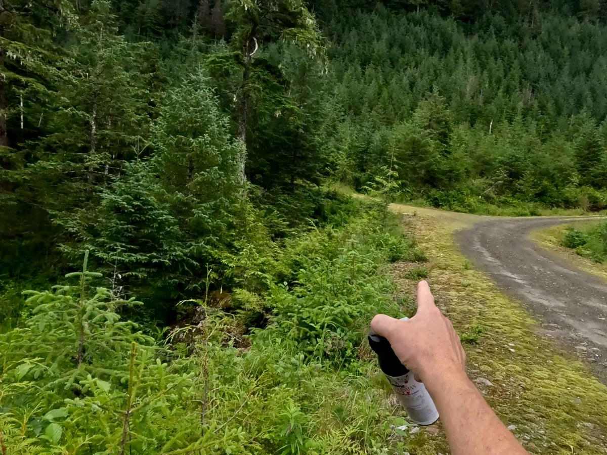 Highbush Spur Road - 50041 photo 3