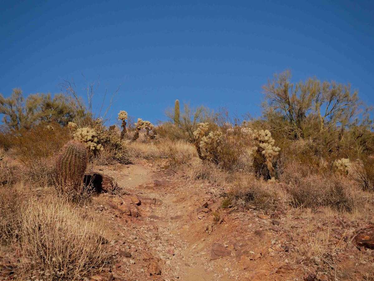 North Castle Singletrack photo 5