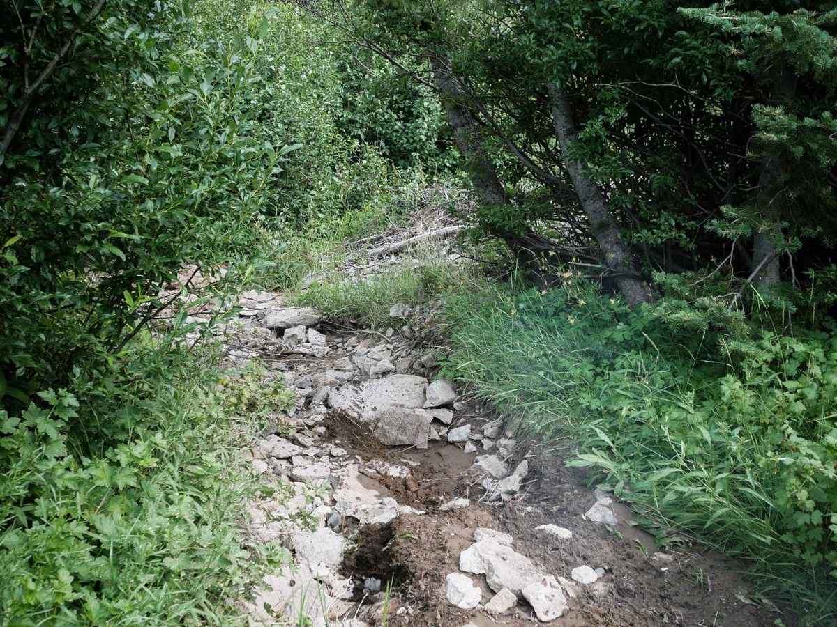 Five Mile Creek (South) photo 5