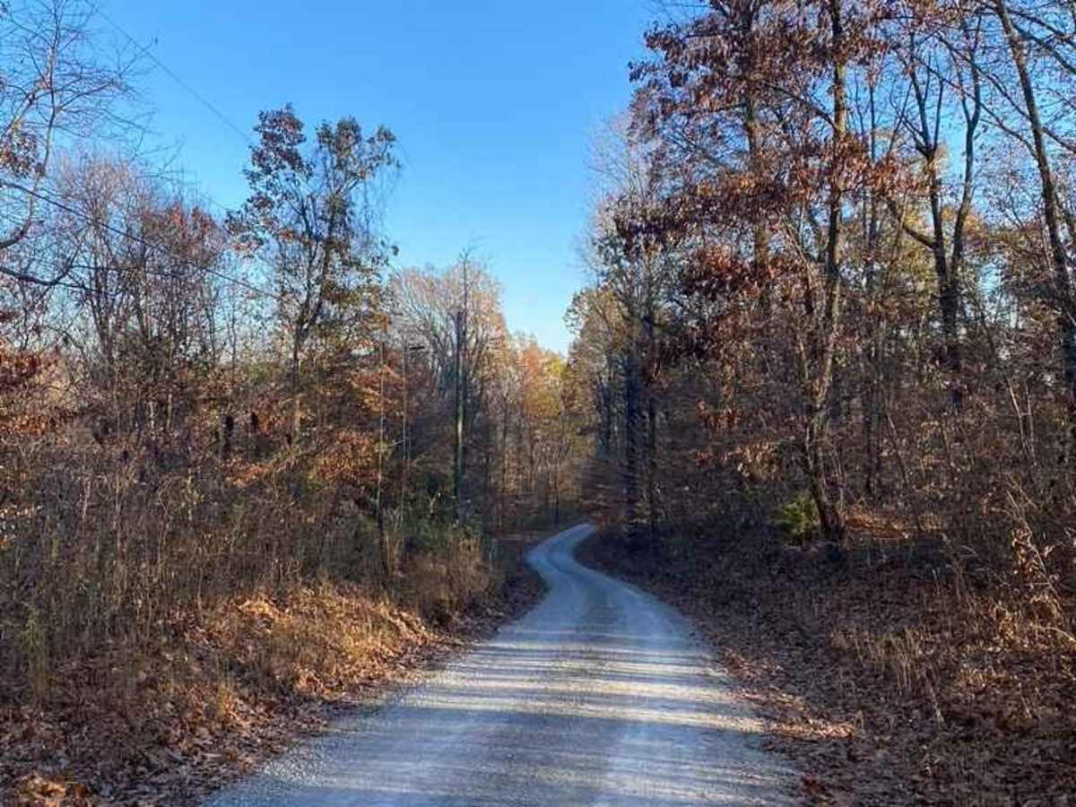 General Watkins Park Road photo 3