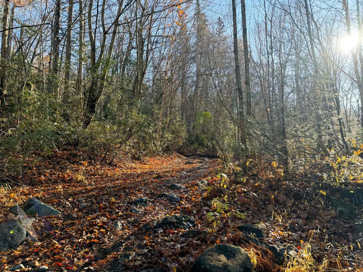Batchawana Falls Road - Northern Section photo 6