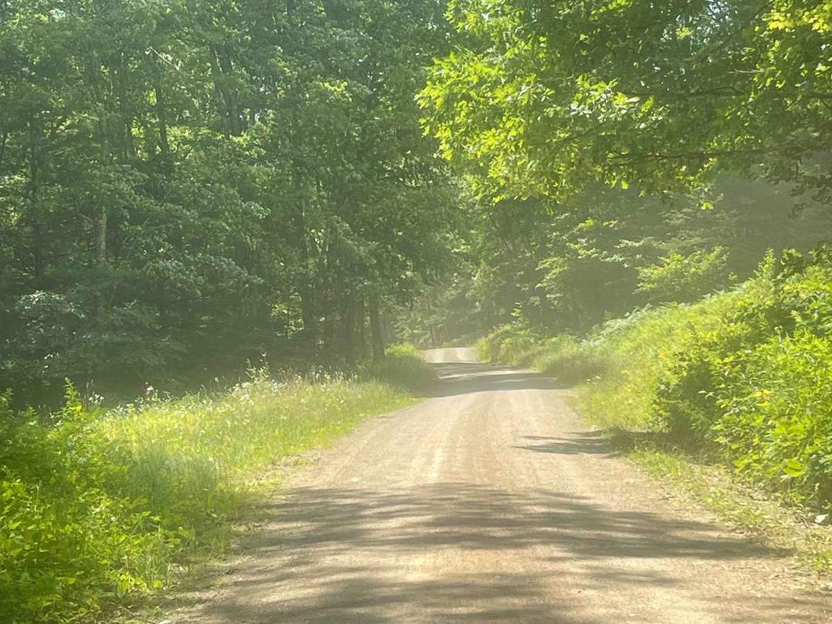 Black Gap Road photo 5