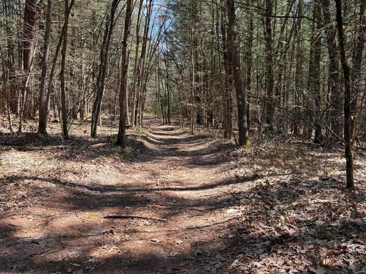 NFS 6336 photo 3