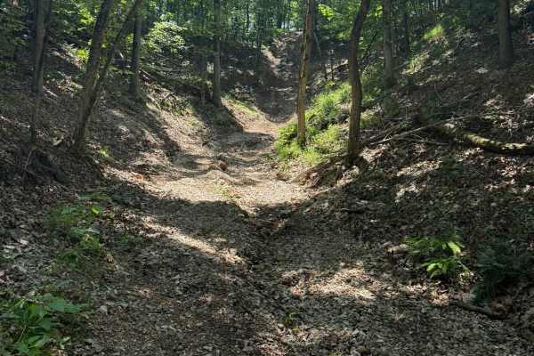 Jenny's Trail