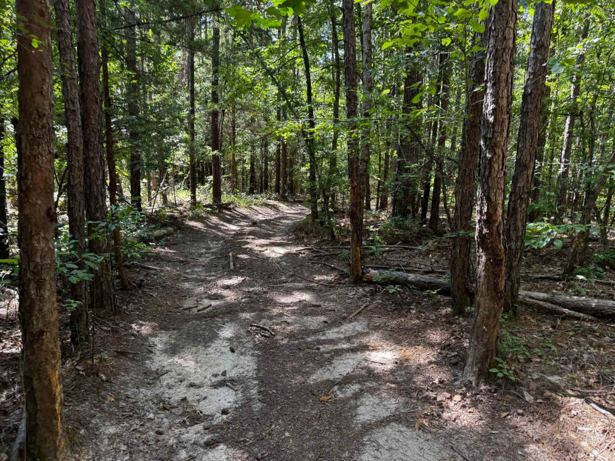 We Show trail photo