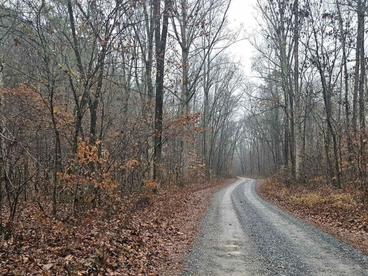 Chestnut Mountain (212A) photo 6