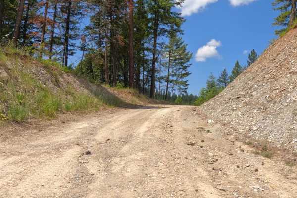 Flat Creek Road - Pardee Creek Road