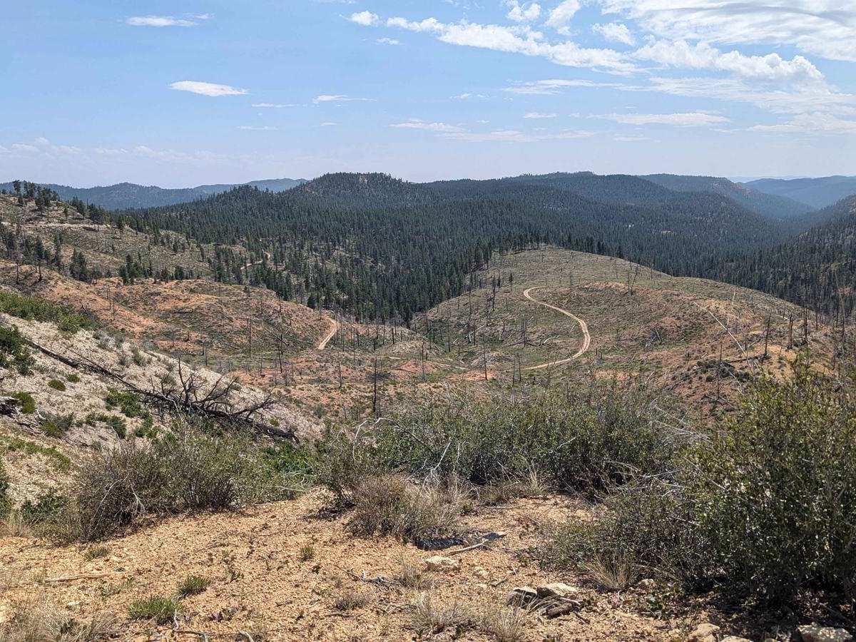 Stout Ridge trail photo