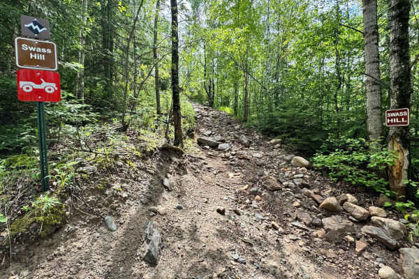Swass Hill