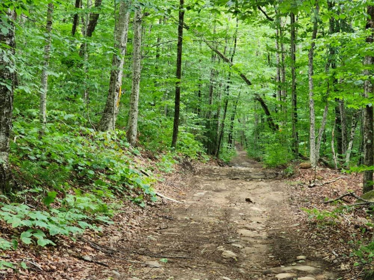 Flansberg Trail trail photo