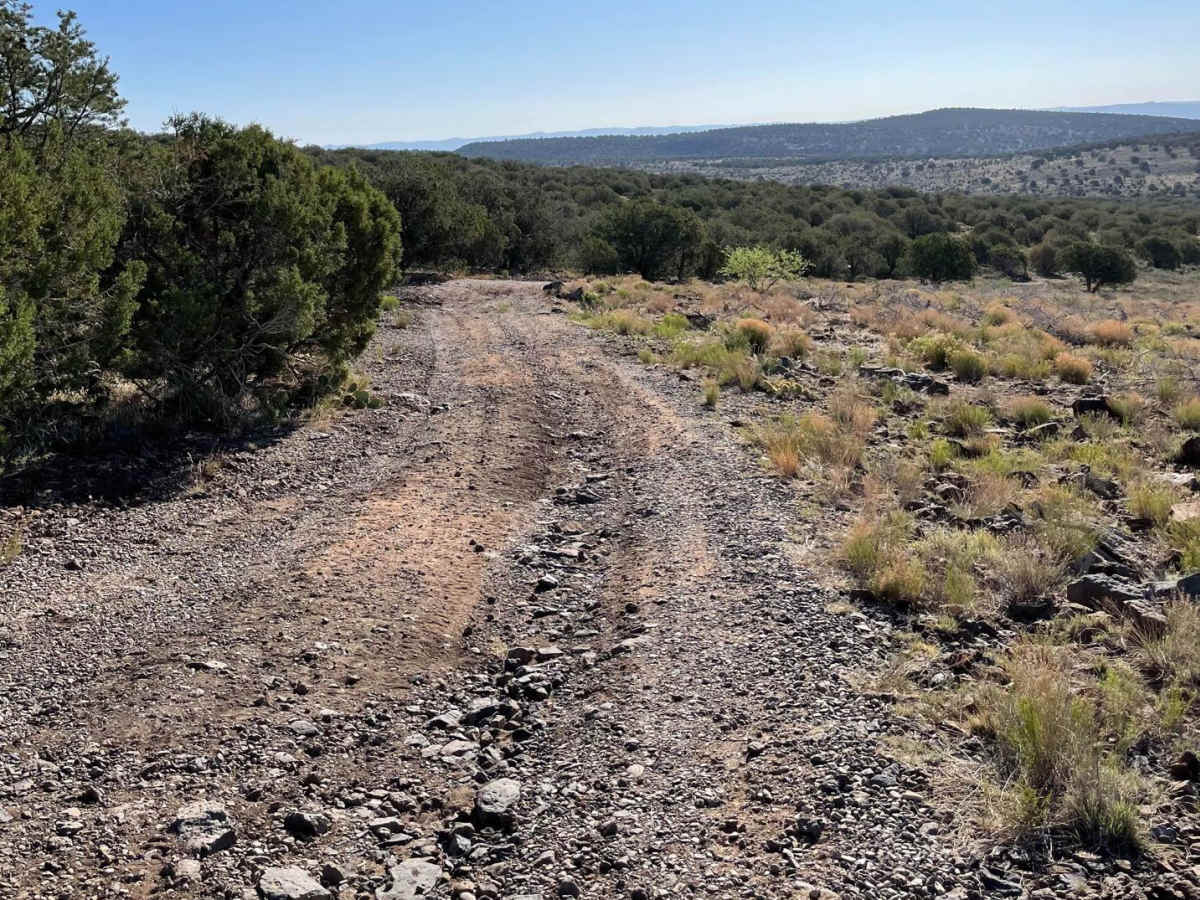 Cell Tower Side Road photo 5