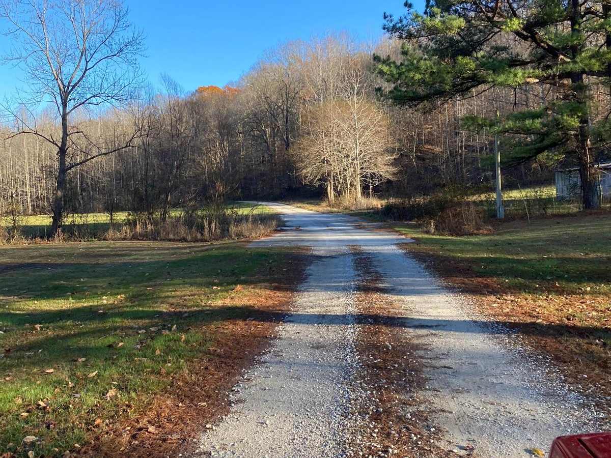 Wolf Creek Road photo 5