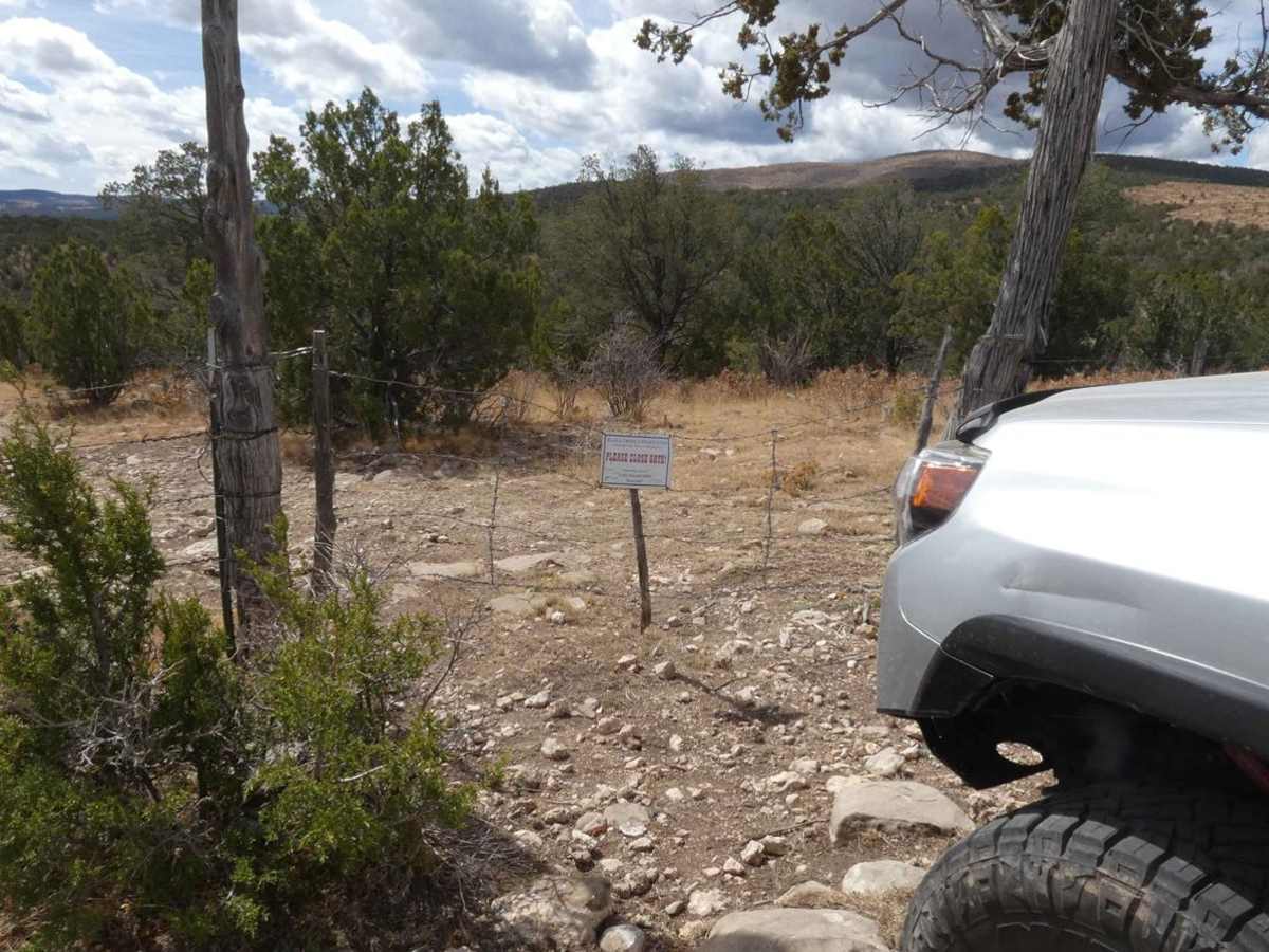 Cactus Canyon photo 6