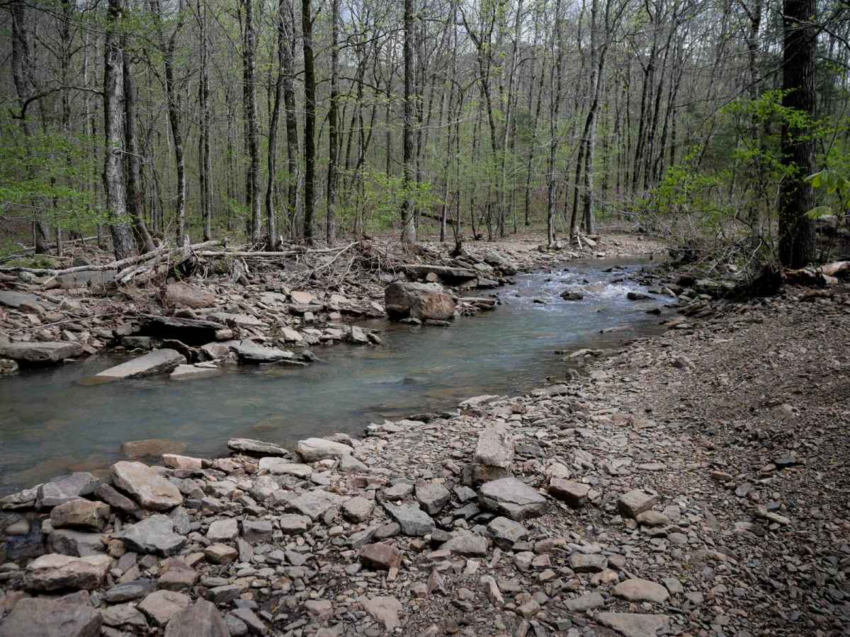 Black Oak Ridge Spur Northwest photo 3