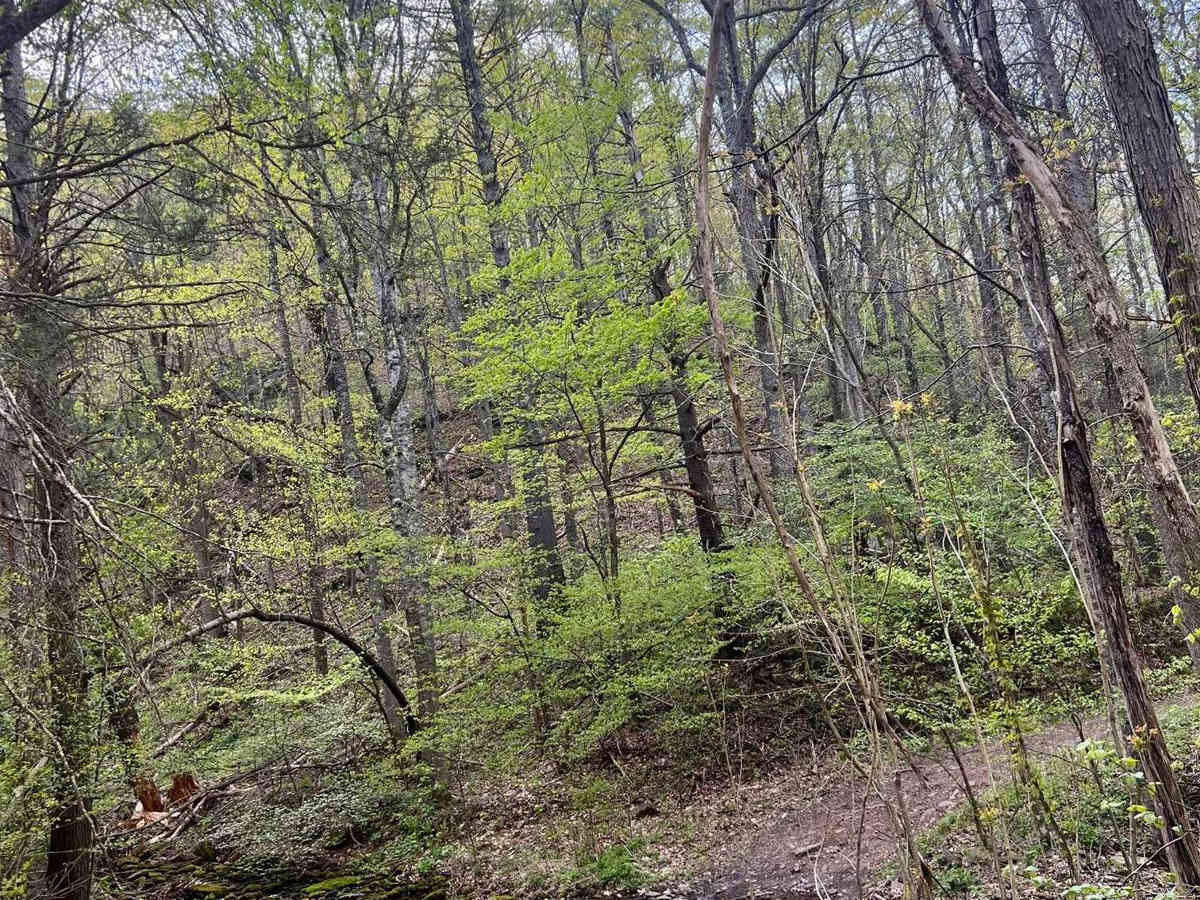 Fort Seybert Trail photo 3