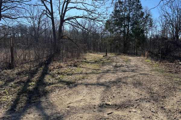 Brushy Ridge Spur A - FSR 606A
