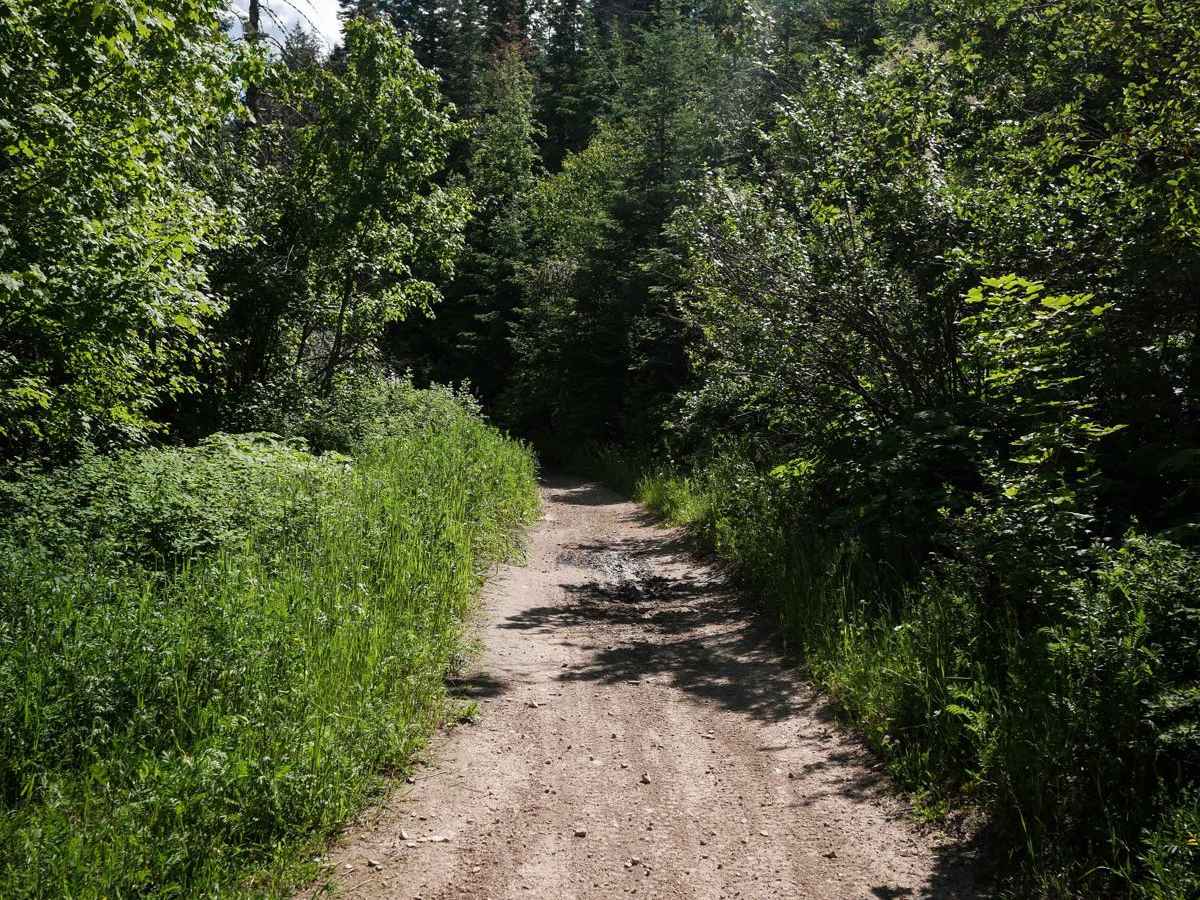 Canfield Mountain- Trail 6 photo 2
