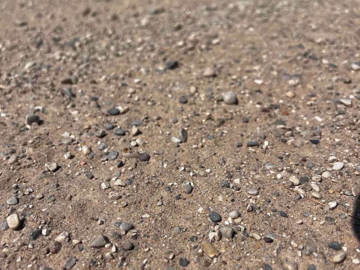 NFS 9787 trail photo