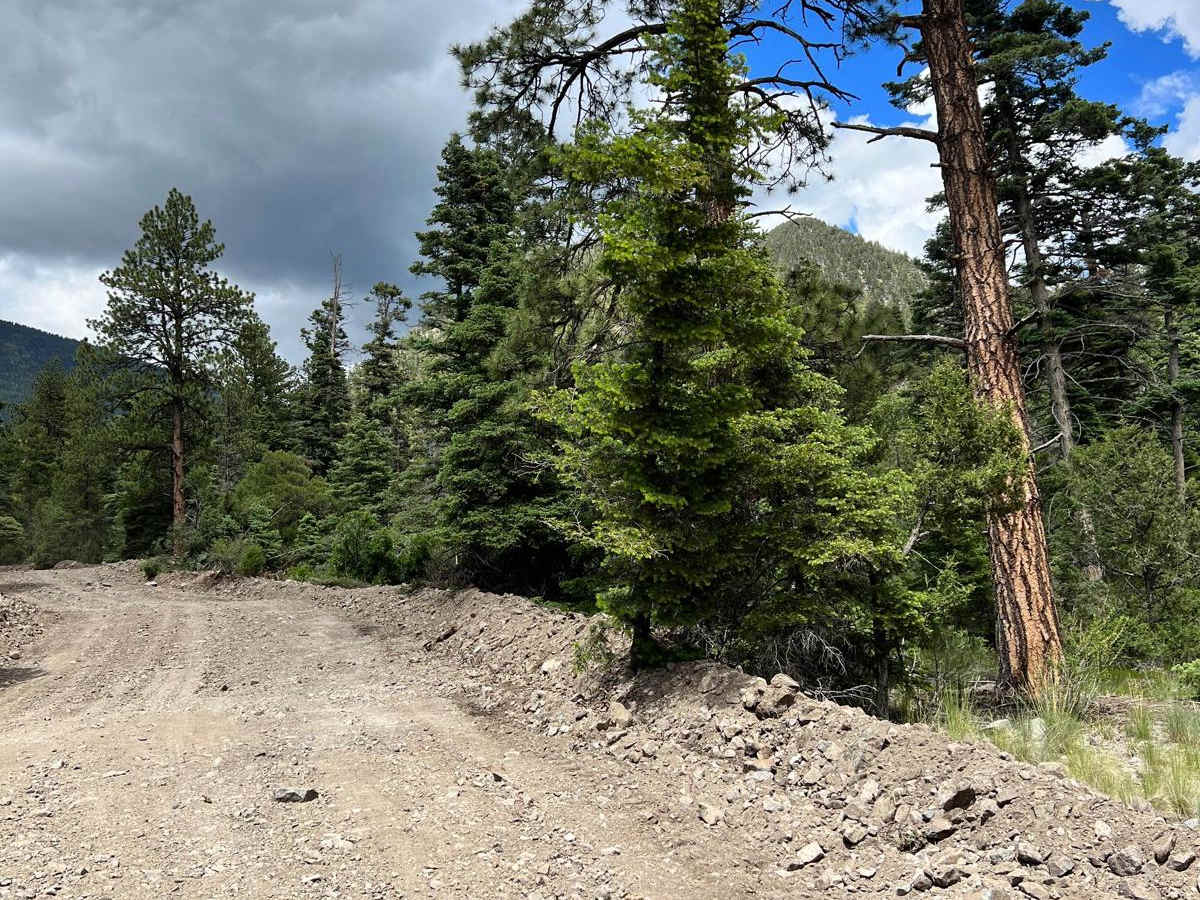 Cabresto Lake - FS 134A photo 3