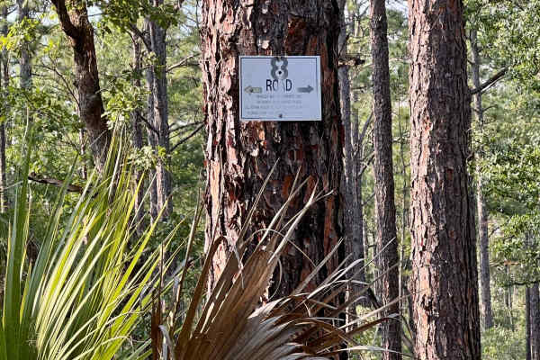 Citrus Wildlife Management | Trail 8