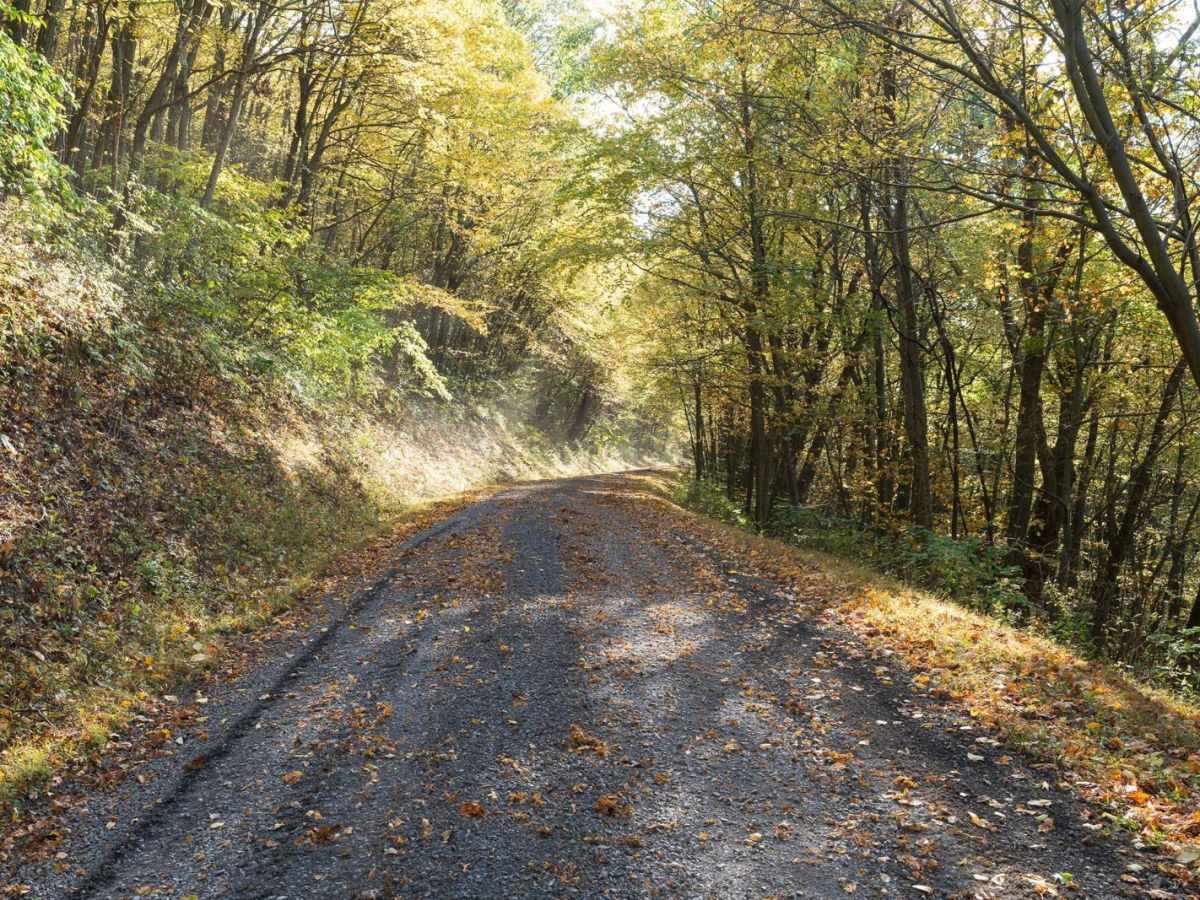 Turkey Hill Road photo 2