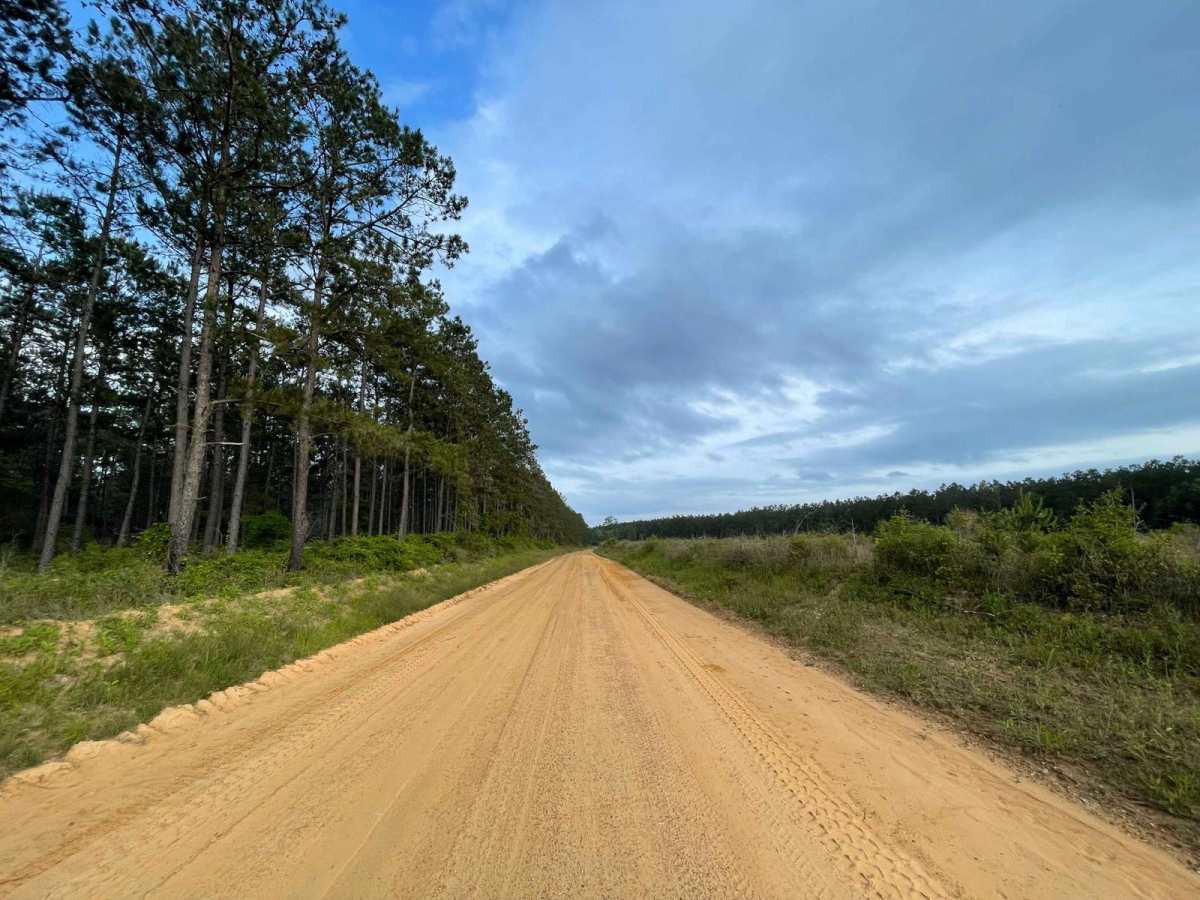 Darden Road photo 4