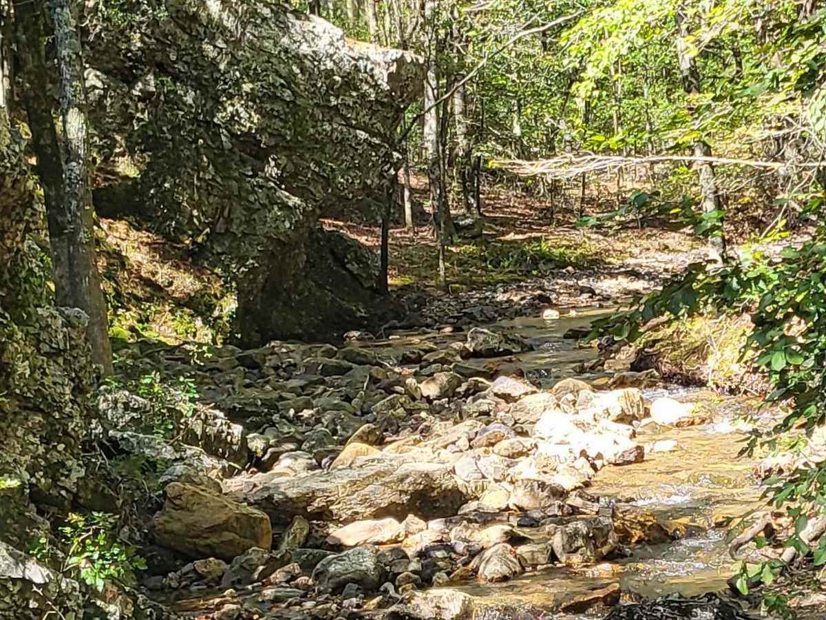 Big Athens Fork trail photo