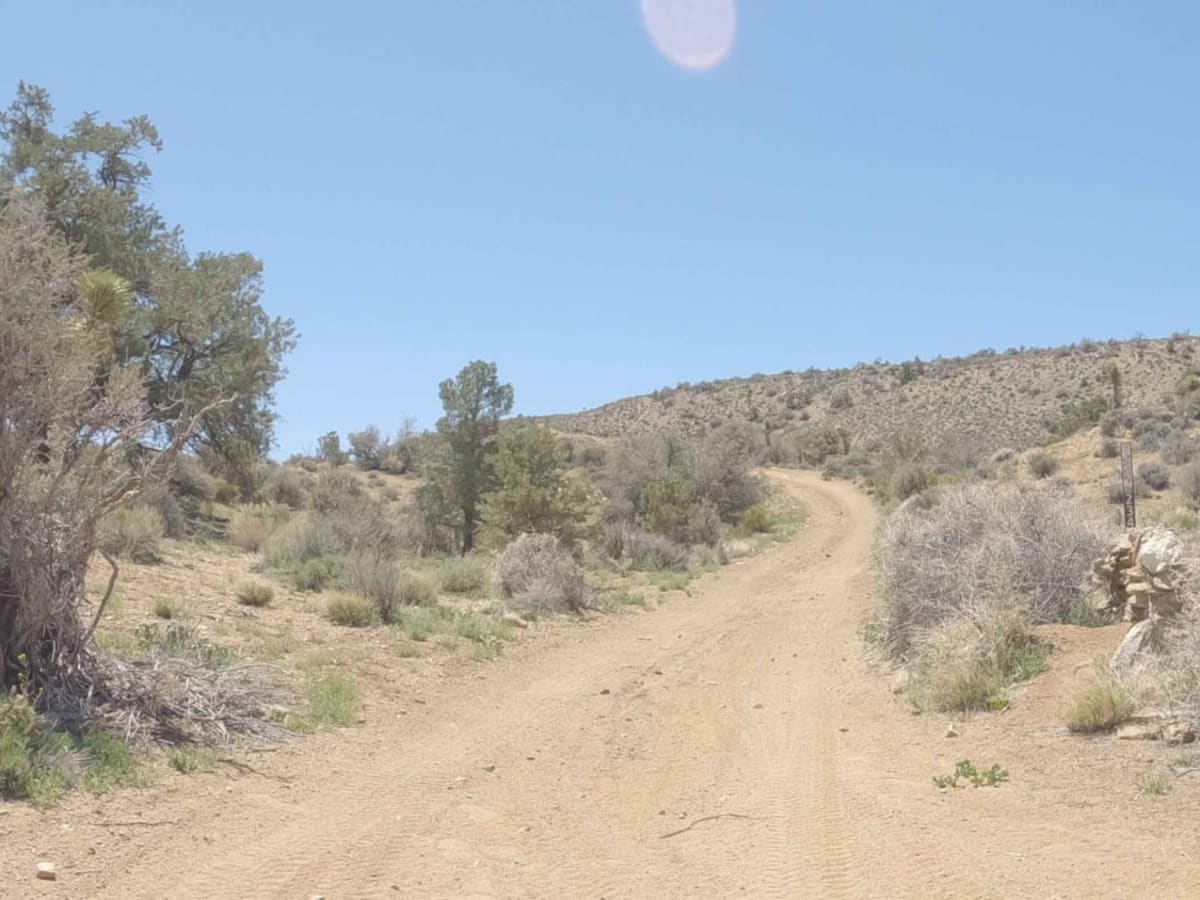 BLM C2340 photo 5