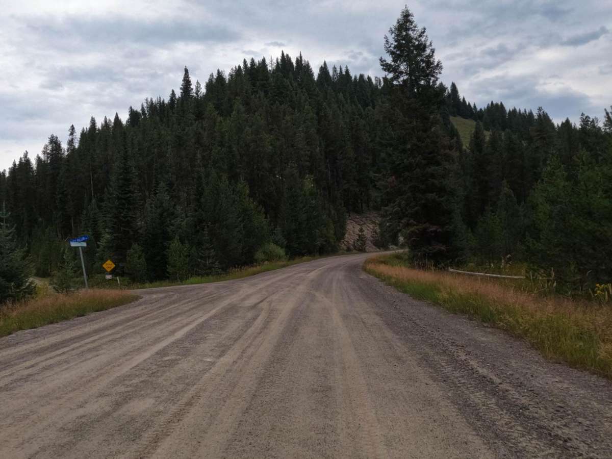 $50,000 Silver Dollar Inn - FSR 288 trail photo