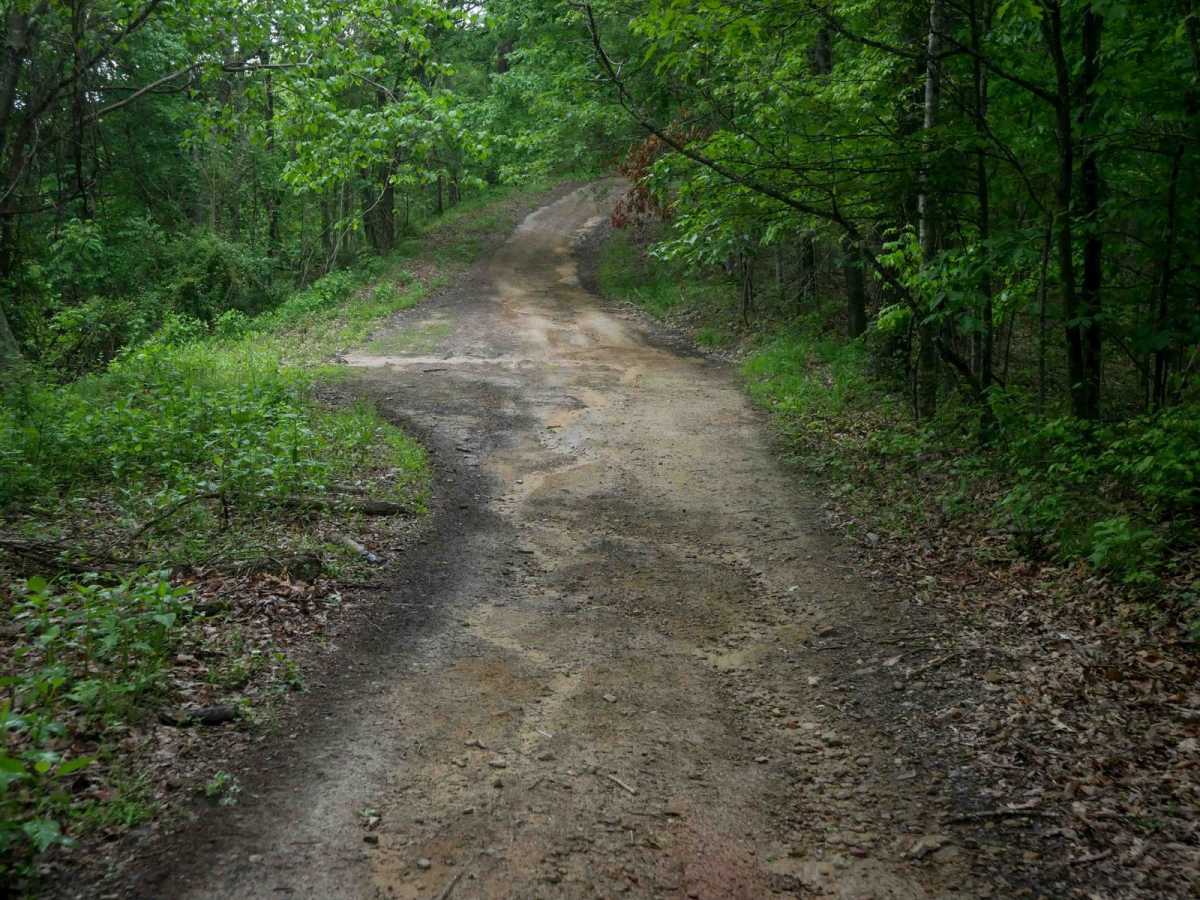 IB 38 photo 4