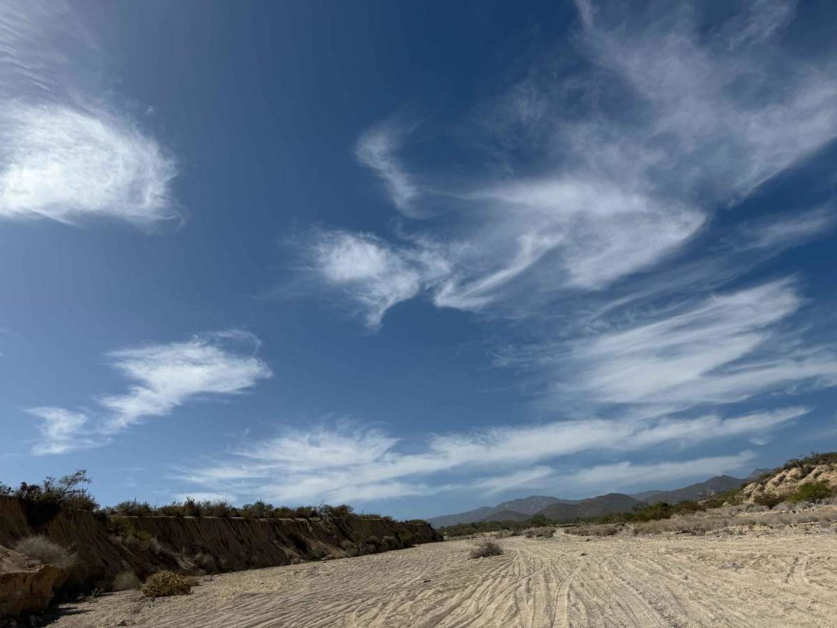 Las Palapas Wash trail photo
