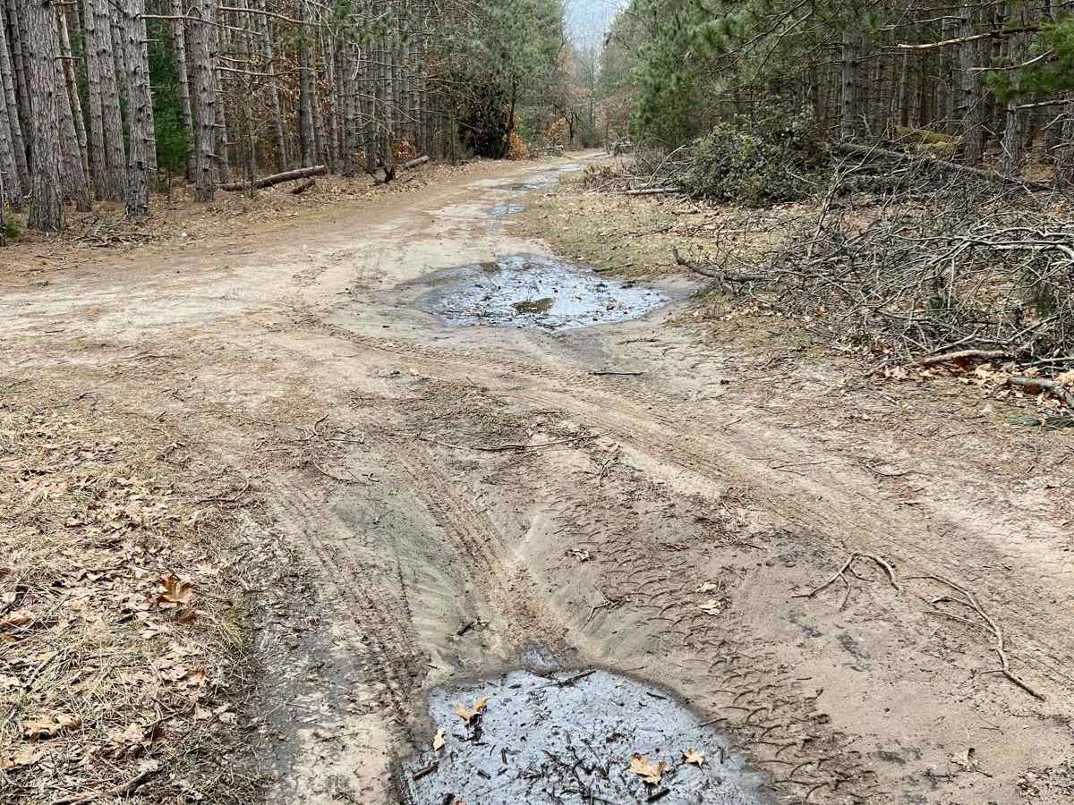 NFS 9882 trail photo