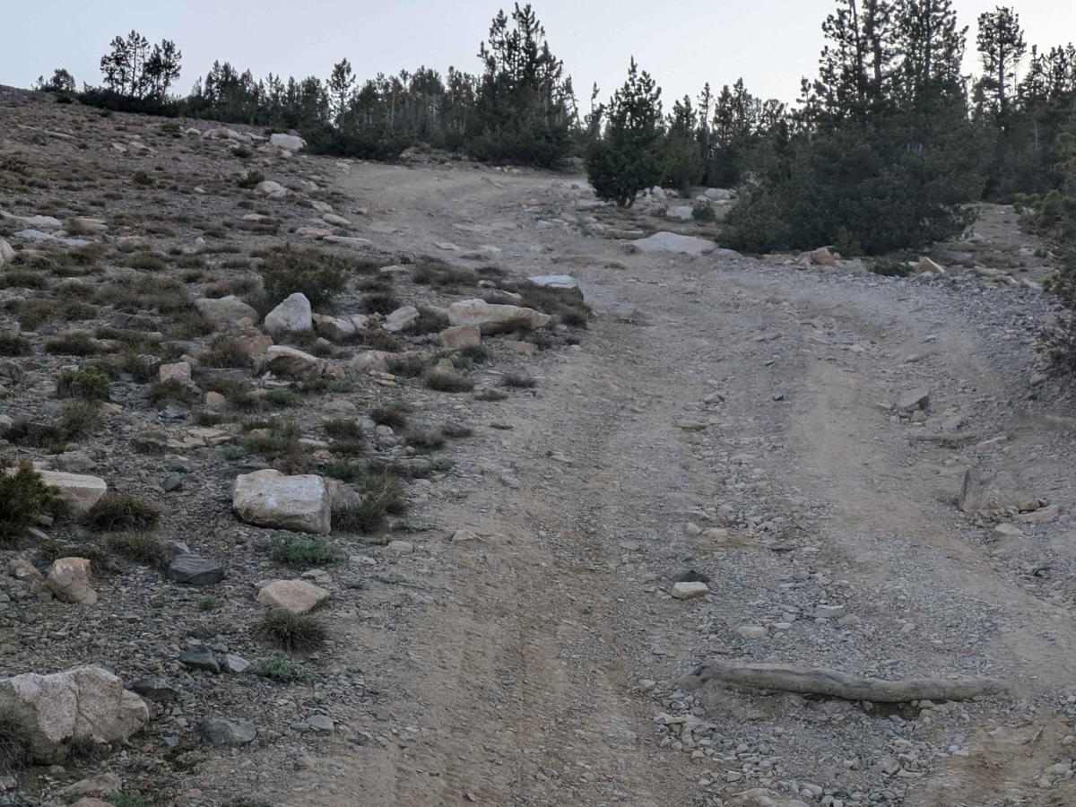 Kavanaugh Ridge photo 3