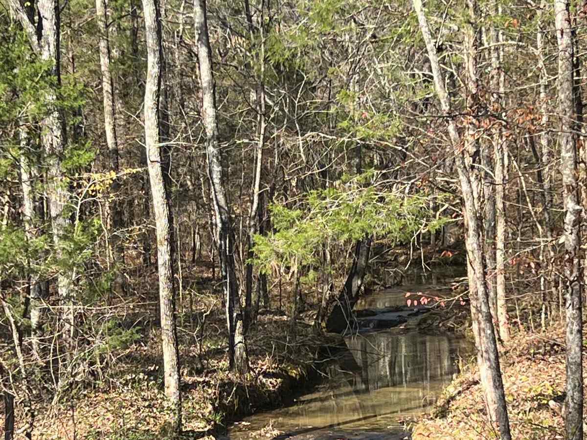 Indian Tomb Hollow Road photo 3