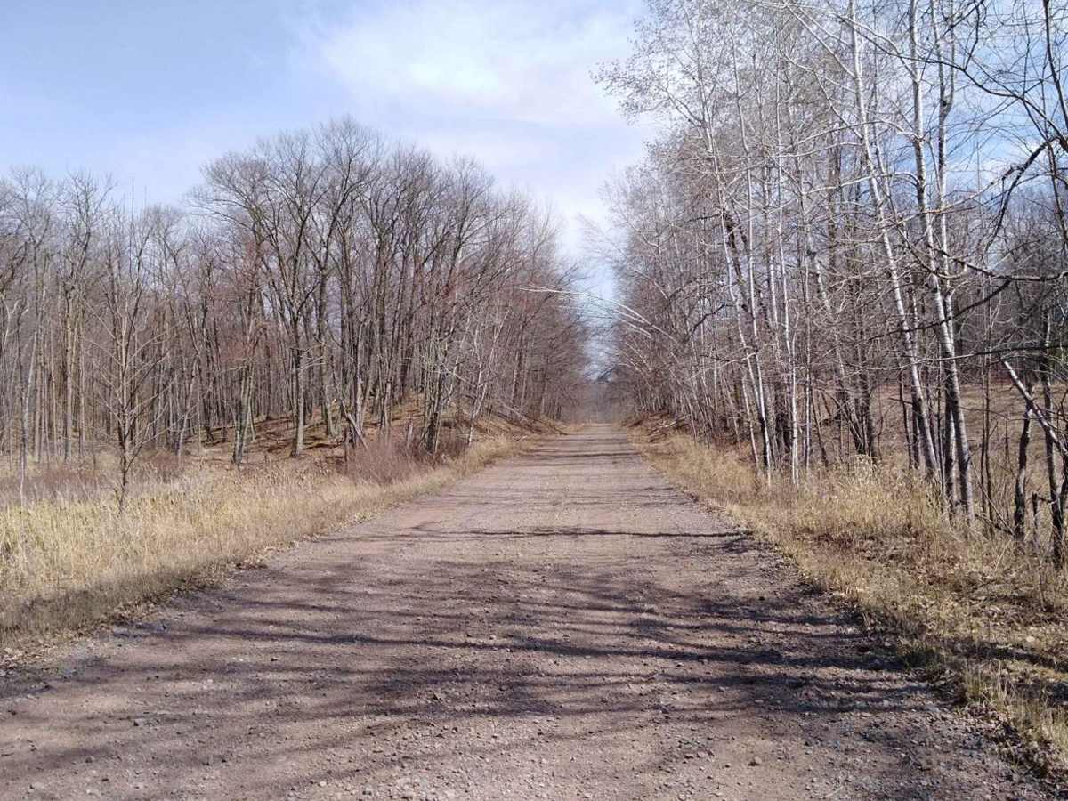 Denham to Moose Lake trail photo
