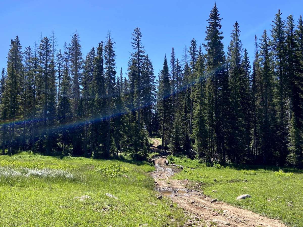 West Green Mountain Trail (#719) photo 6