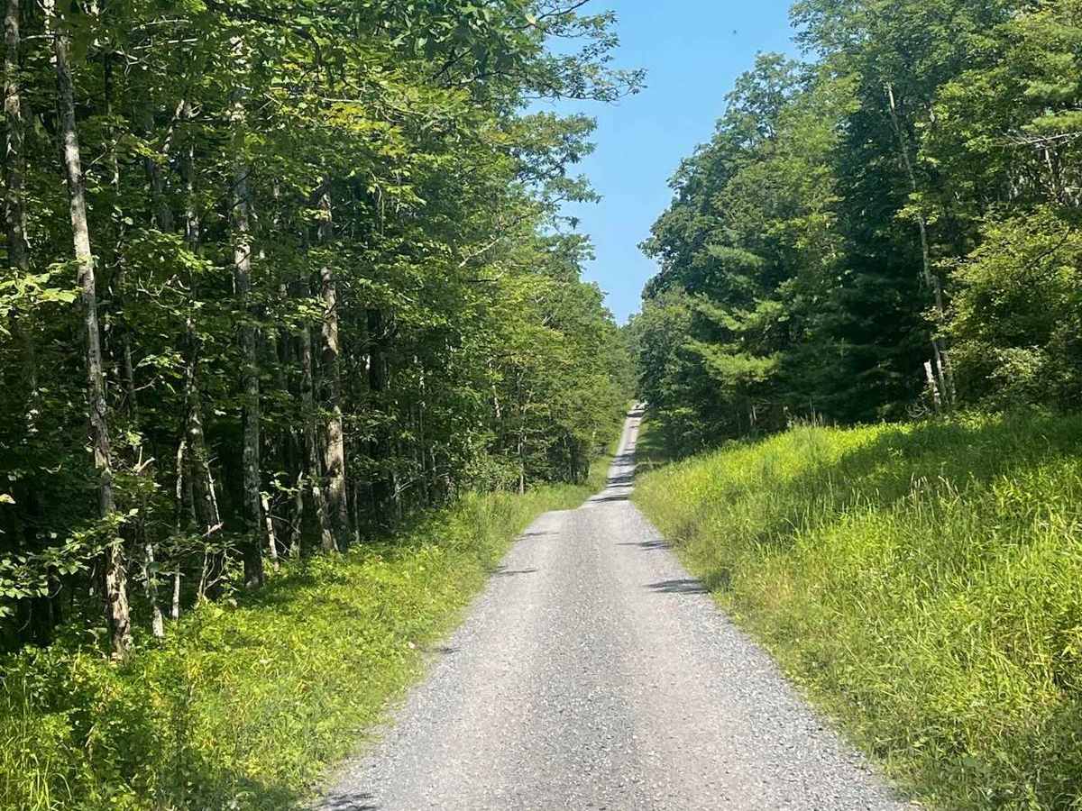 Big Springs Road photo 2
