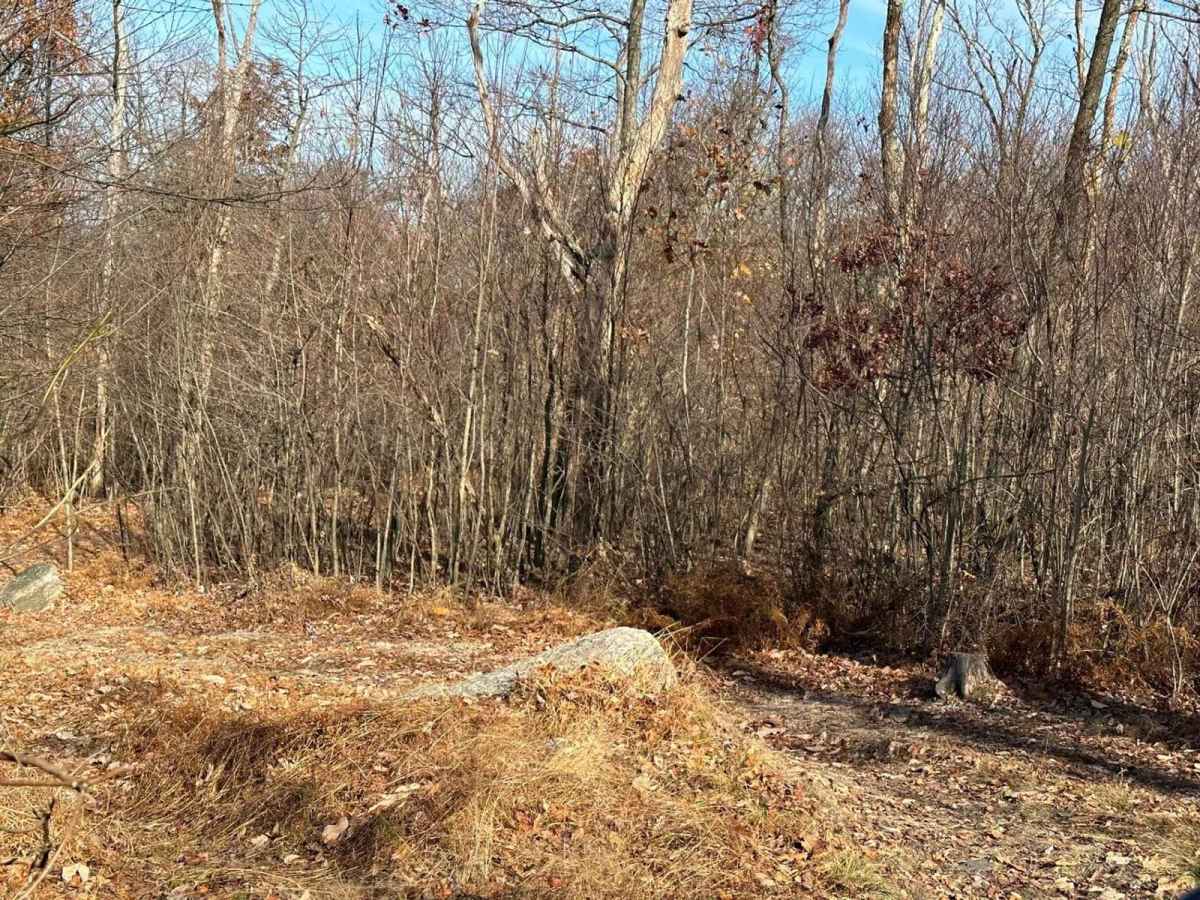 101 Trail photo 4