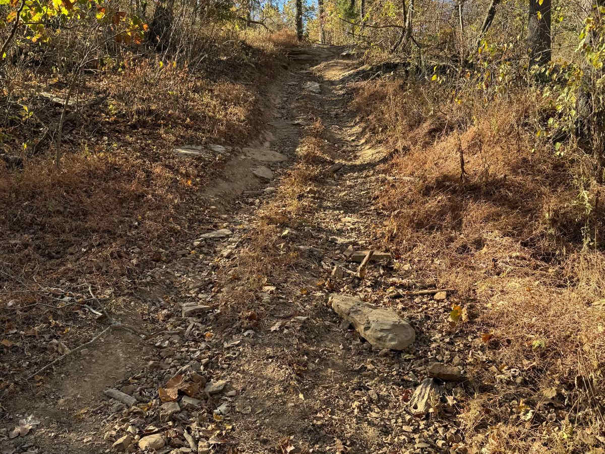 Yellow 56 trail photo