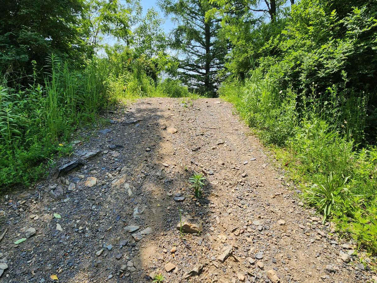 Trail 6G - Rock Run Recreation Area photo 4