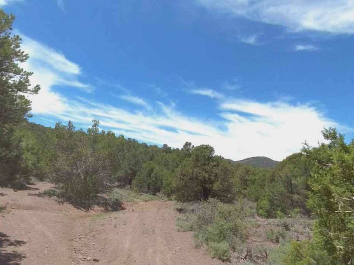 Burn Road photo 6