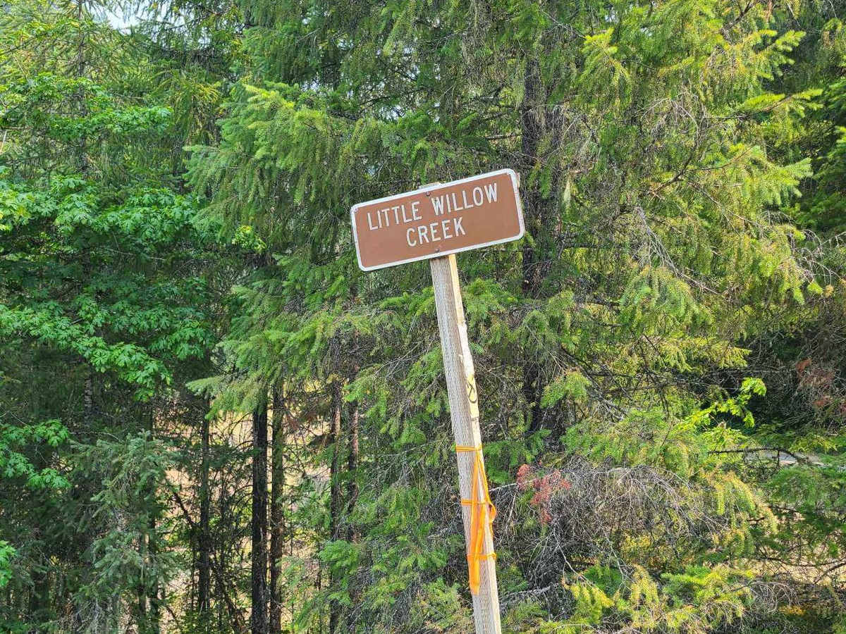 East Shore photo 6