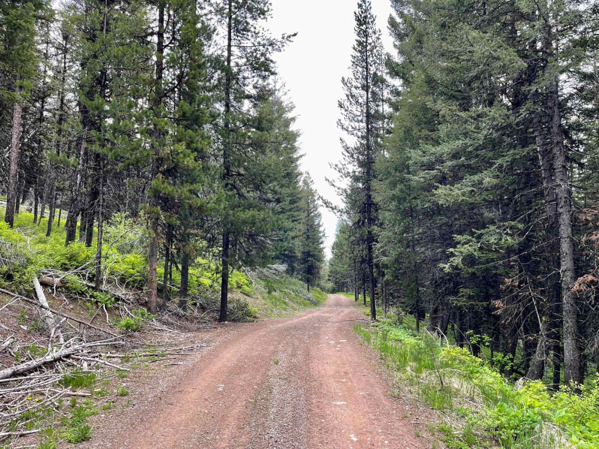 East Fork Rattlesnake photo 6
