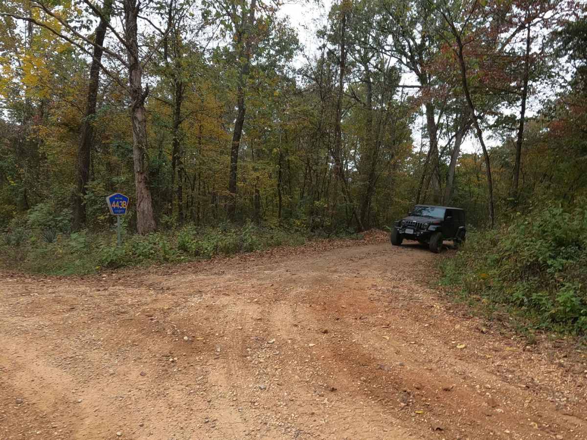 Gulf - FS 3821 trail photo