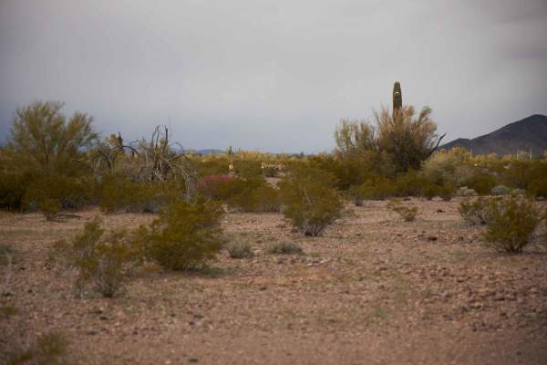BLM AZ 065