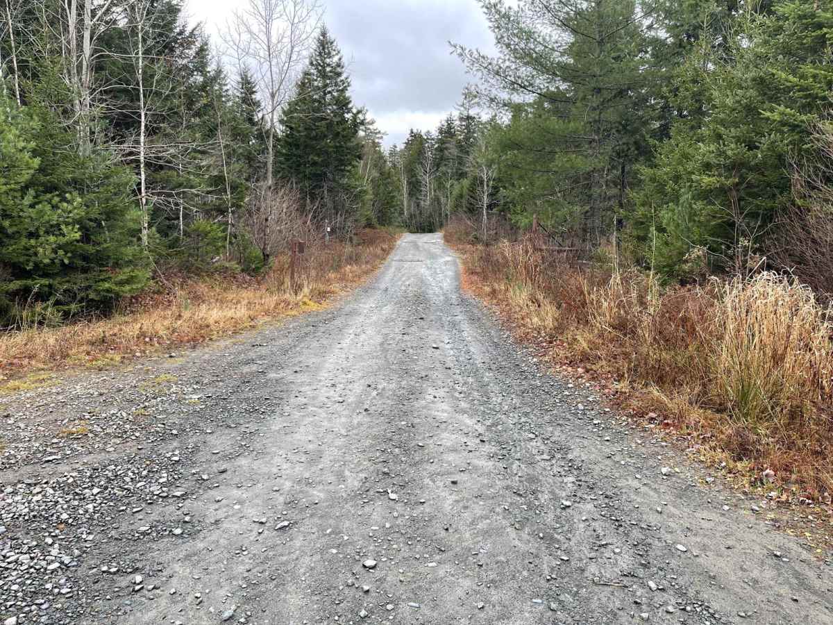 King Lake Trail photo 2