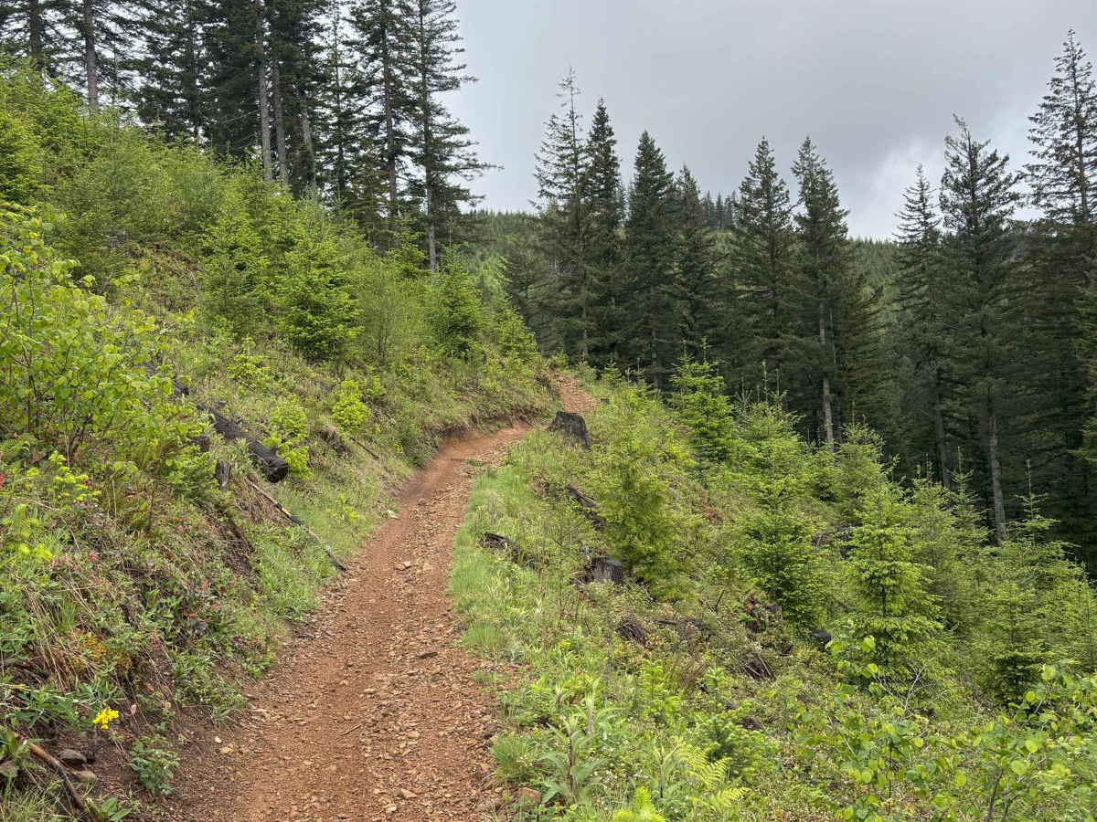 Jones Creek ORV photo 6